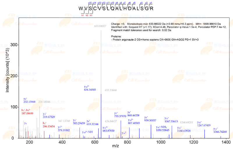 质谱肽段-水印版.png