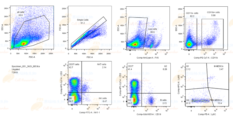 免疫细胞亚群分析-水印.png